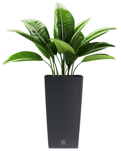 Krukkesæt Rattan 3 Stk. 37,5-50 cm Antracit