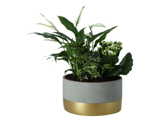 Blomster i keramisk potte 20 cm