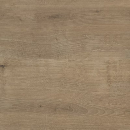 Laminatbordplade 2,8x62x240 cm Lys Eg