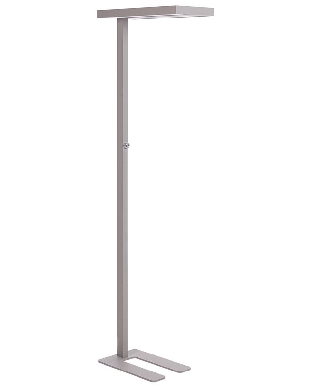 Taurus gulvlampe Metal Sølv 1 stk.
