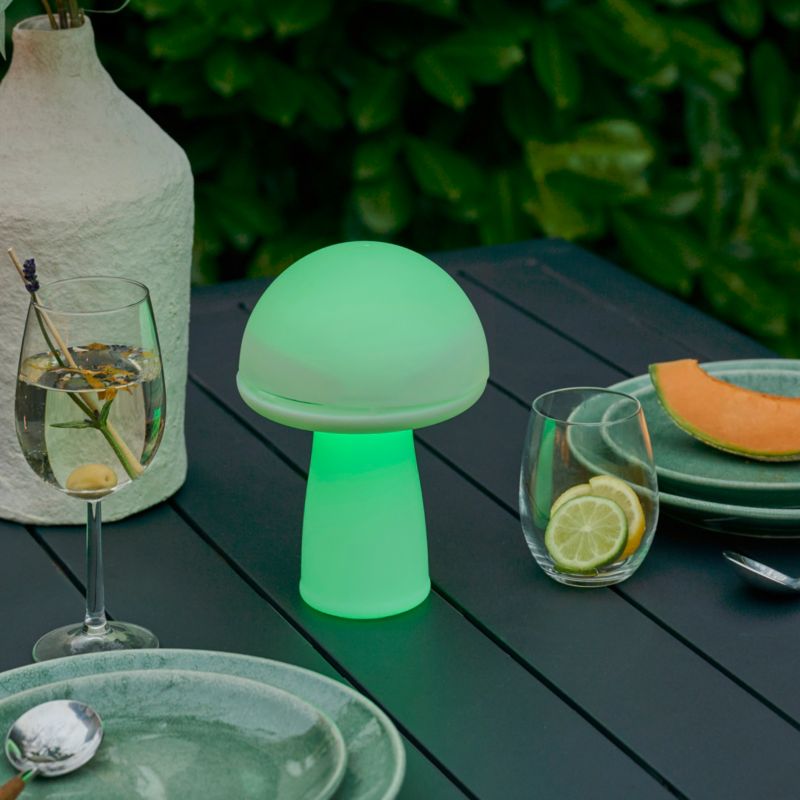 Solarlampe Mushroom RGB IP44 Hvid