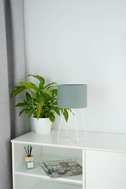 Bordlampe Duolla Modern 1-punkts E14 Salvie