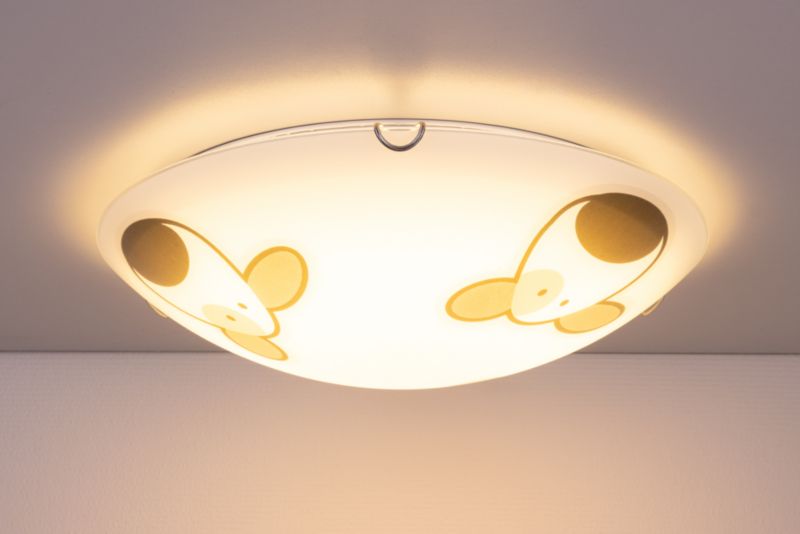 Loftlampe SPOT Light 2xE27 60W Hvidt glas med flerfarvet hundemotiv, polsk producent, 1 stk.