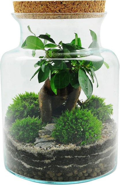 Lukket skov i glas med blandede planter