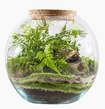 Lukket skov i glas med blandede planter
