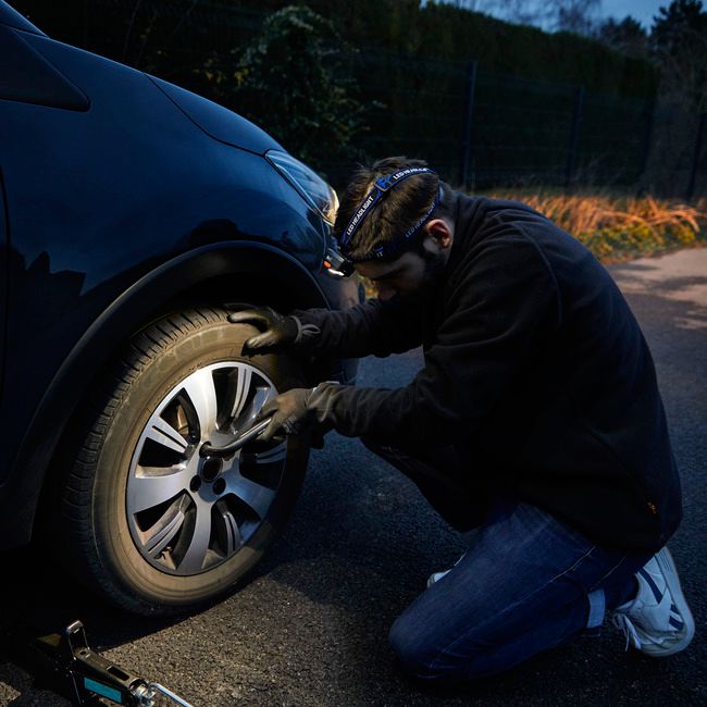 Diall pandelampe 120 lm med 3 x AAA-batterier