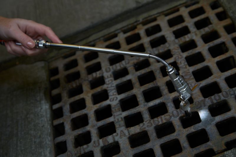 Diall LED-lommelygte i aluminium 10 lm 4 x LR44