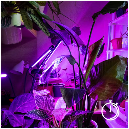 LED Plantelampe 10W med 4 Fleksible Arme og Timer