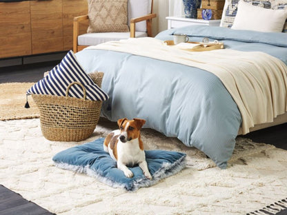 Ergani velour hundeseng blå 1 stk.