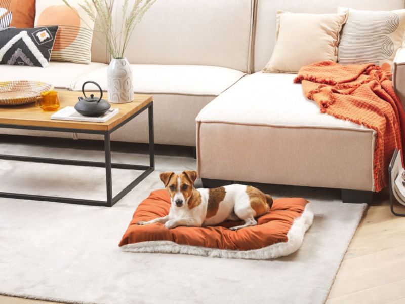 Ergani velour hundeseng orange 1 stk.