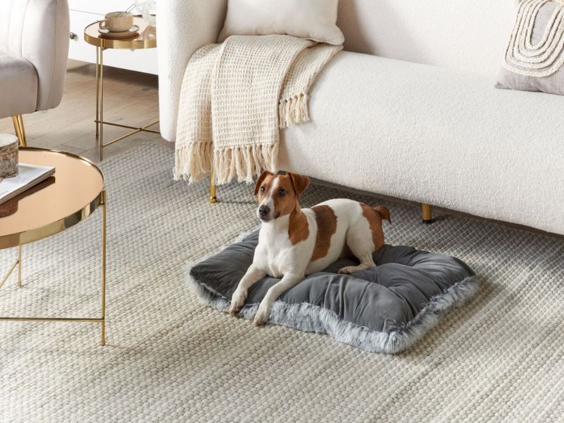 Ergani velour hundeseng grå 1 stk.