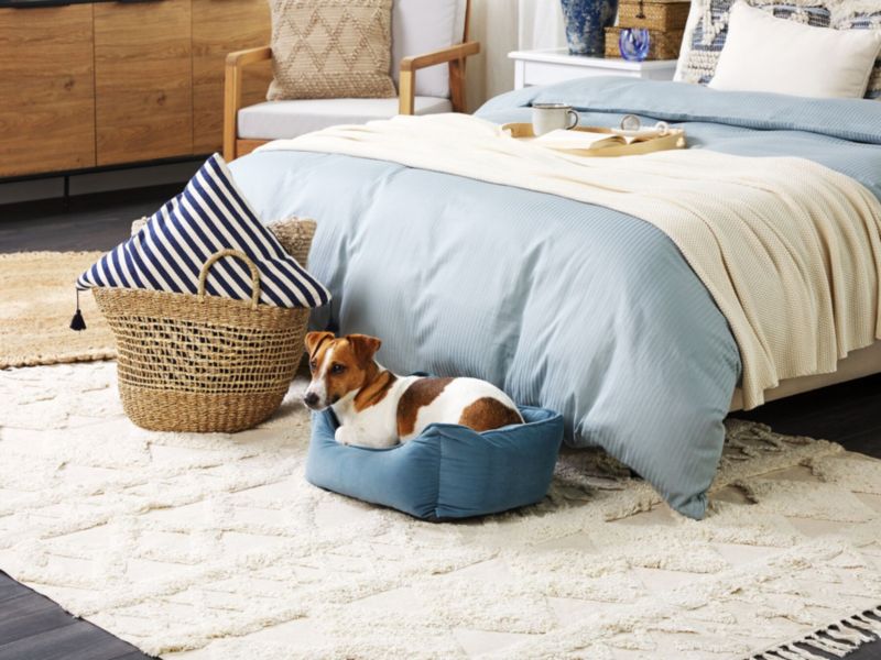 Izmir velour hunde- og kattekurv blå 1 stk.
