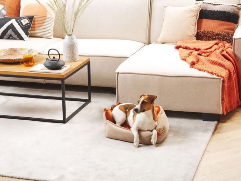 Izmir velour hunde- og kattekurv i orange og beige, 1 stk.