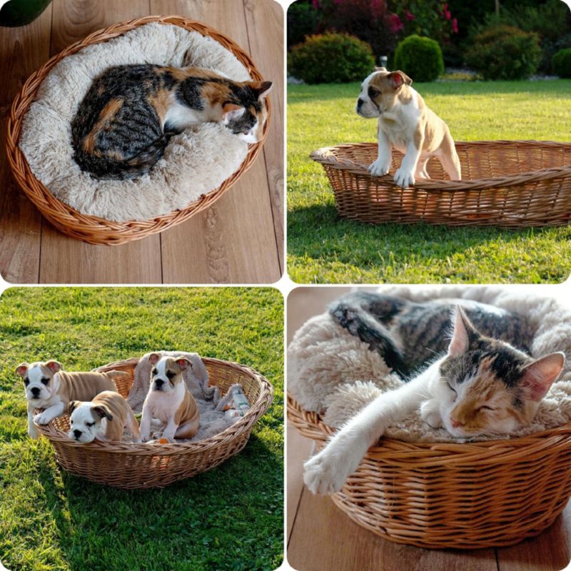 KADAX hundekurv i flet 80 cm stor L brun 1 stk.