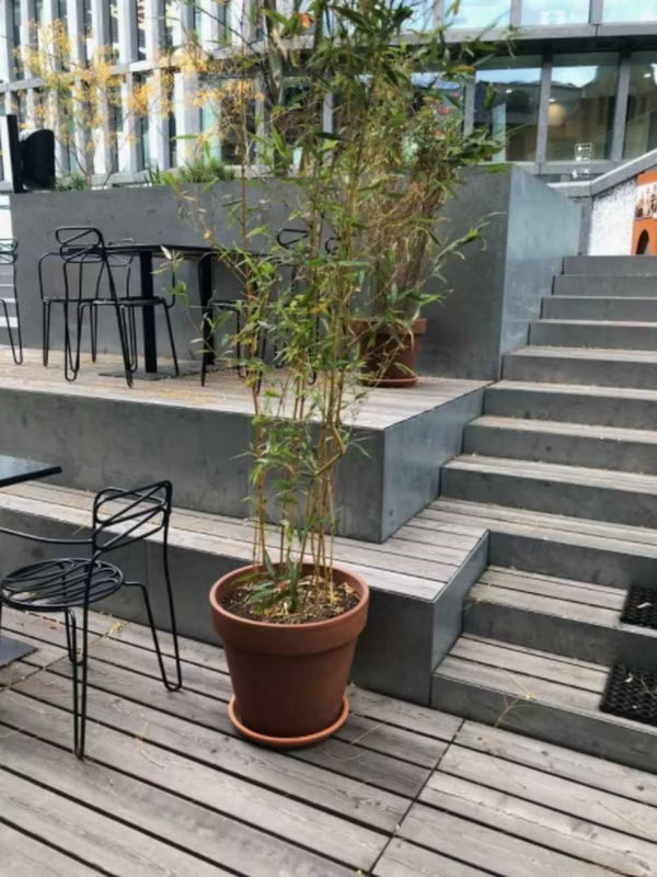 Lerkrukke Terrakotta 17 cm
