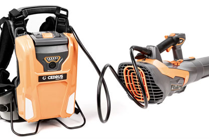 Løvblæser Batteridrevet 60V BL210-P