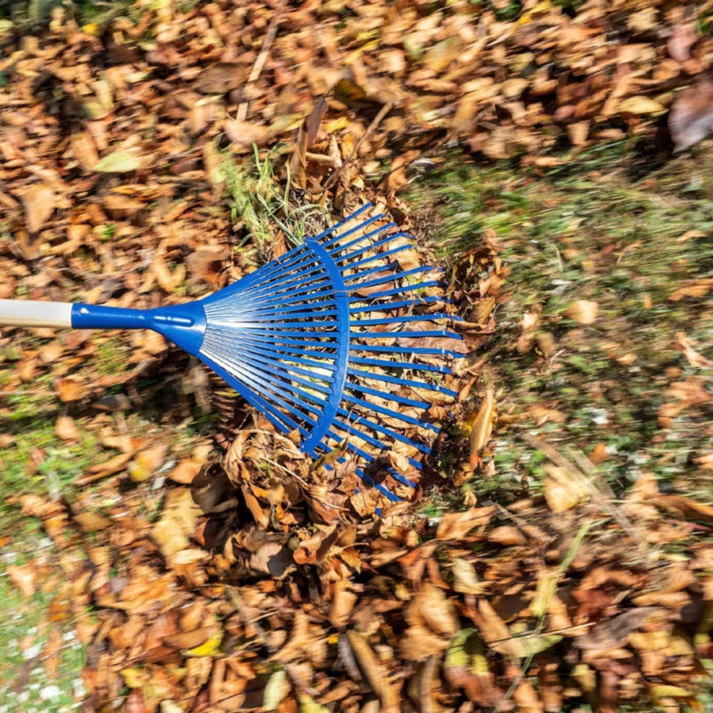 Løvrive 40 cm Stål Blå