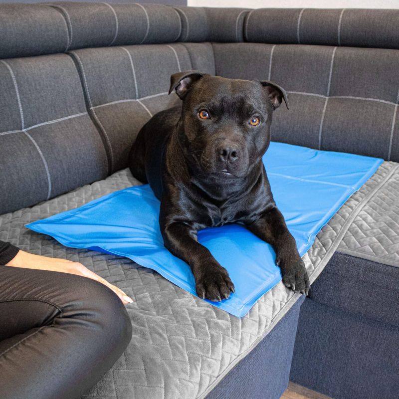 Springos kølemåtte med gel til hund 40 x 30 cm - køleunderlag til kæledyr, 1 stk.