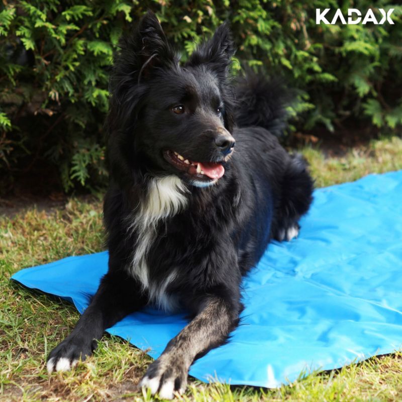 KADAX stor kølemåtte til hund og kat xl blå 1 stk.