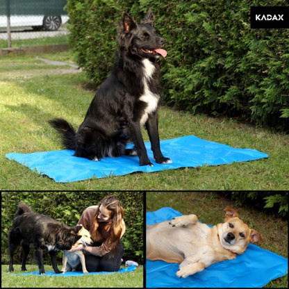 KADAX stor kølemåtte til hund og kat xl blå 1 stk.