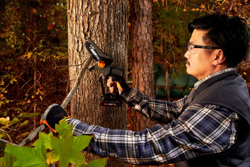 Mini akku-kædesav med forlængerstang Worx WG325E.1 20V