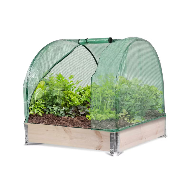 Minidrivhus 80x80x58 cm