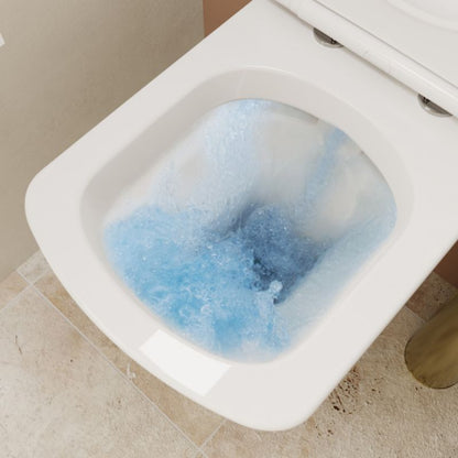 Væghængt Toilet Levanna Uden Skyllekant med Langsomt Lukkende Sæde Hvid