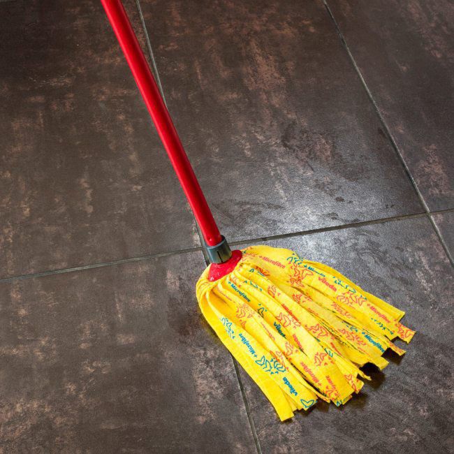 Vileda SuperMocio soft mop