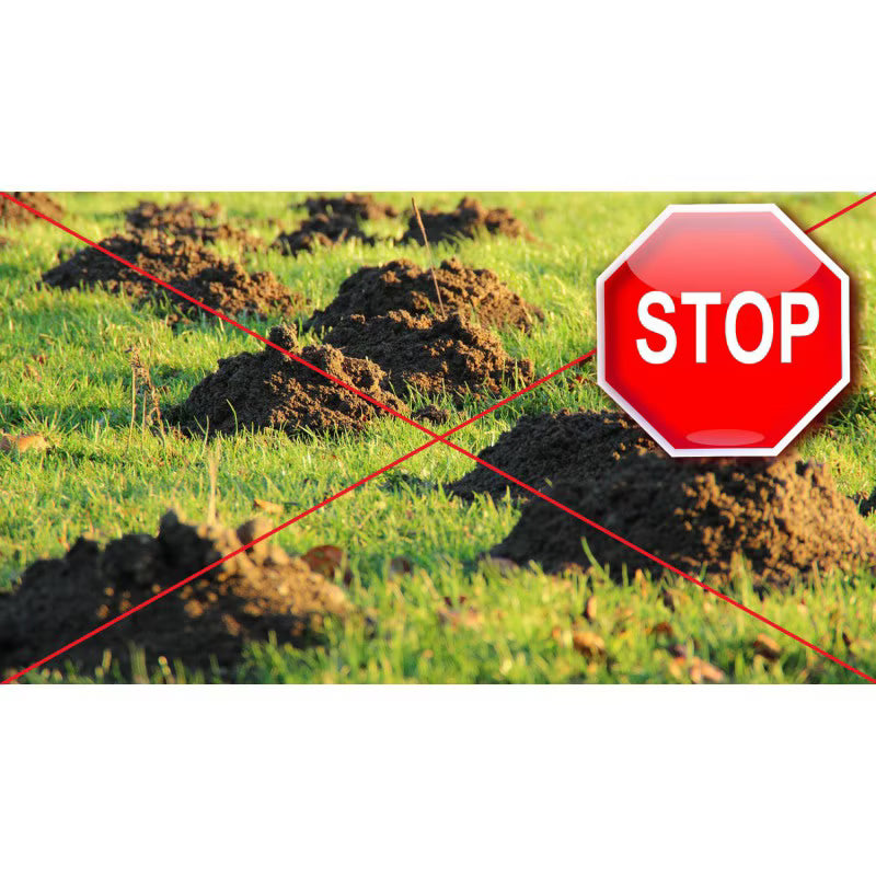 Muldvarpenet 2x100 m Sort 200 m² | 5905873781030