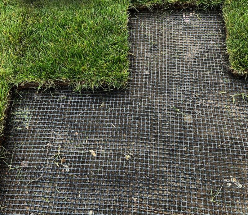 Mulvarpenet 1x50 m UV-bestandig Sort 50 m²