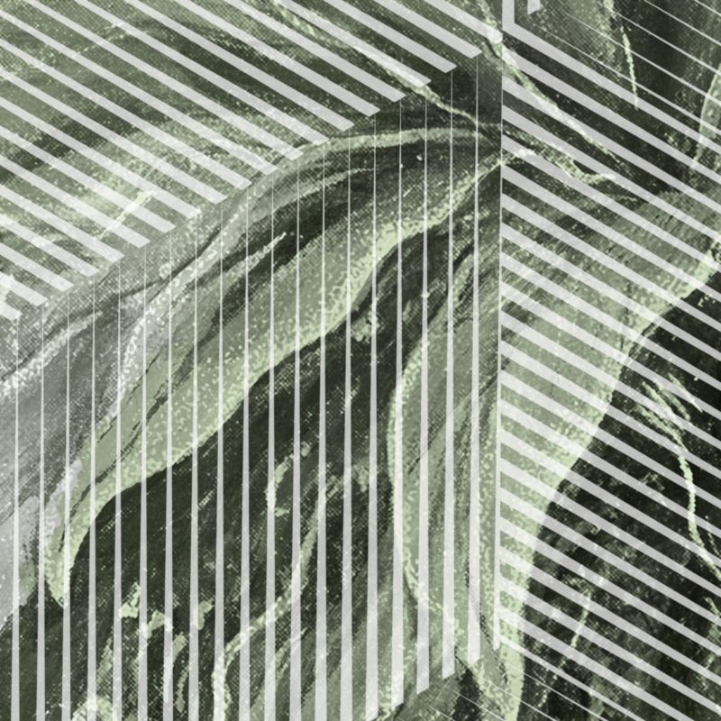 Vinylmural på nonwoven GoodHome Tanan palmer lys grøn