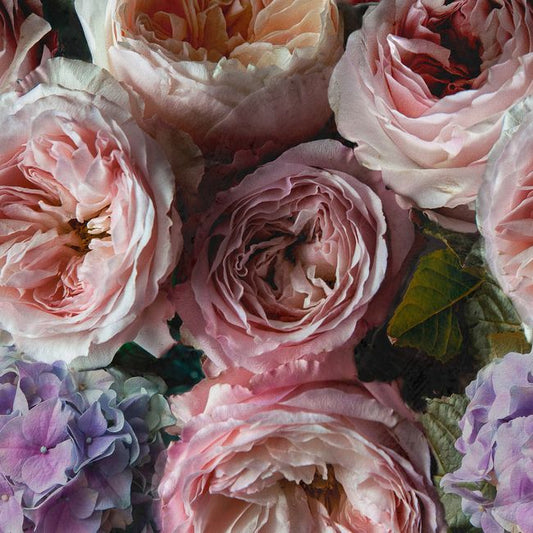 GoodHome Vanad vinylmural på nonwoven med lilla blomster
