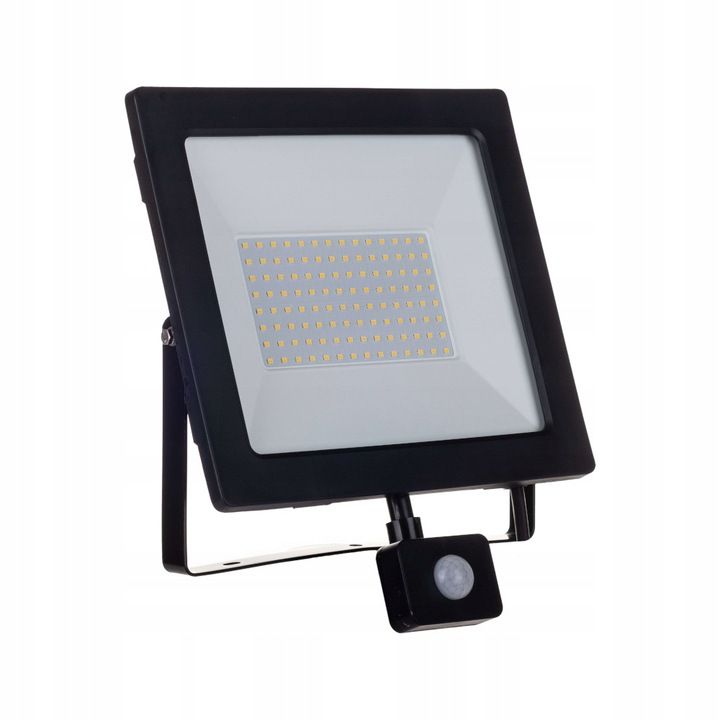 LED-projektør Germina 100W udendørslampe IP65 1 stk.