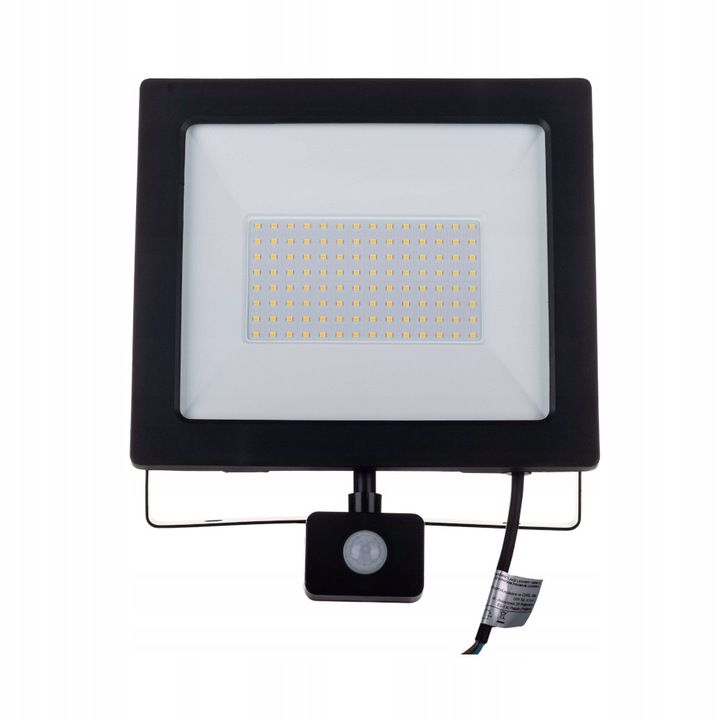 LED-projektør Germina 100W udendørslampe IP65 1 stk.