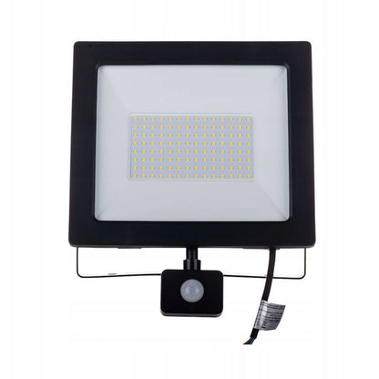 LED-projektør Germina 100W udendørslampe IP65 1 stk.