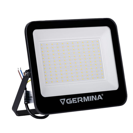 LED-projektør Germina 100W udendørslampe IP65 1 stk.