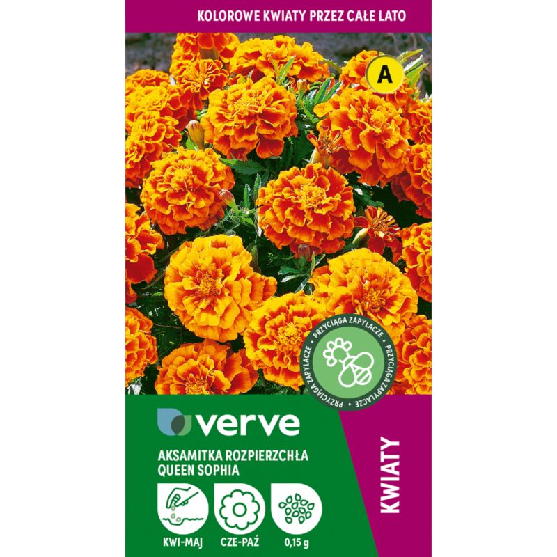 Frø af spredt tagetes Queen Sophia Verve