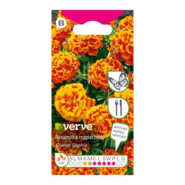 Frø af spredt tagetes Queen Sophia Verve
