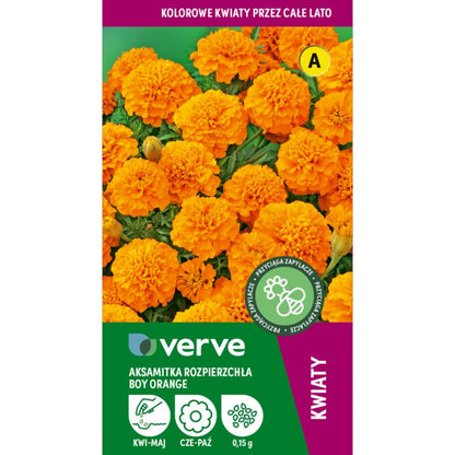Frø af Verve orange spredt tagetes