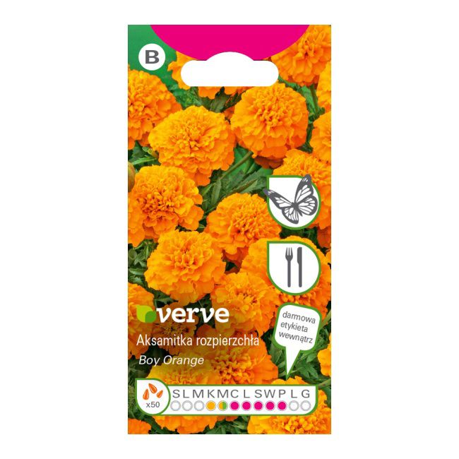 Frø af Verve orange spredt tagetes