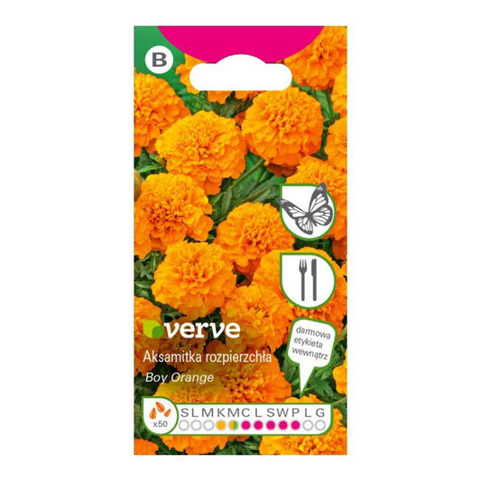 Frø af Verve orange spredt tagetes