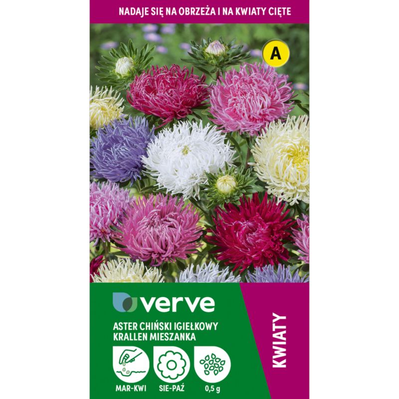 Frø af kinesisk nåleaster Verve mix