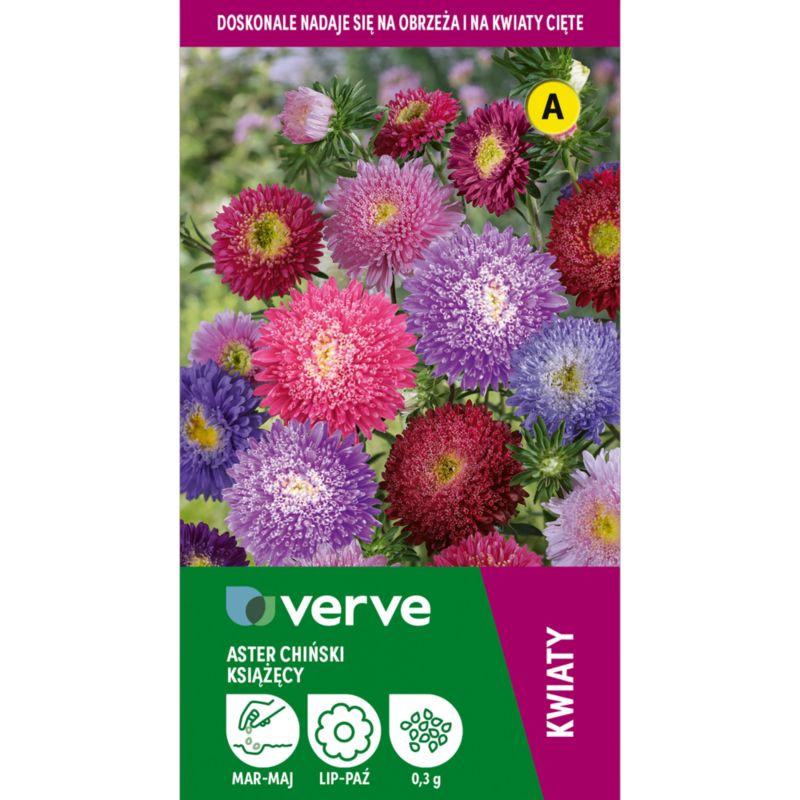 Frø af kinesisk aster Prinsen Verve mix
