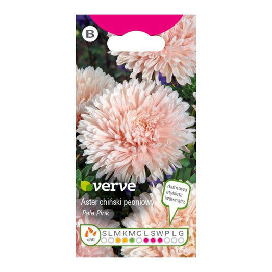 Astersfrø Pale Pink Verve – Enestående til efterårsbed og snitblomster