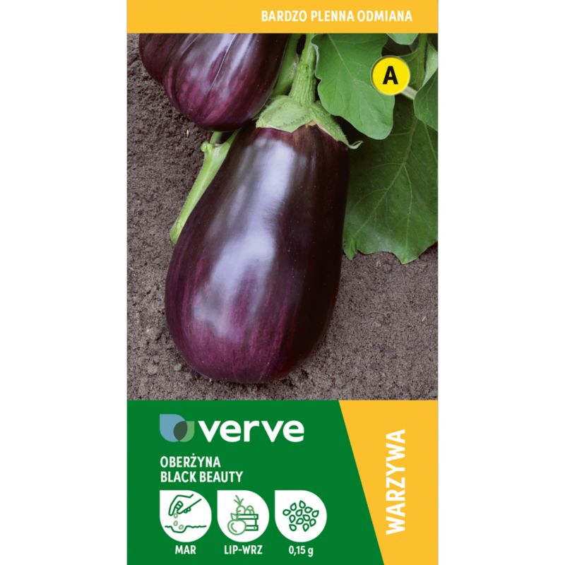 Frø af aubergine Black Beauty Verve