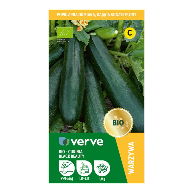 Økologiske frø til courgette Black Beauty Verve
