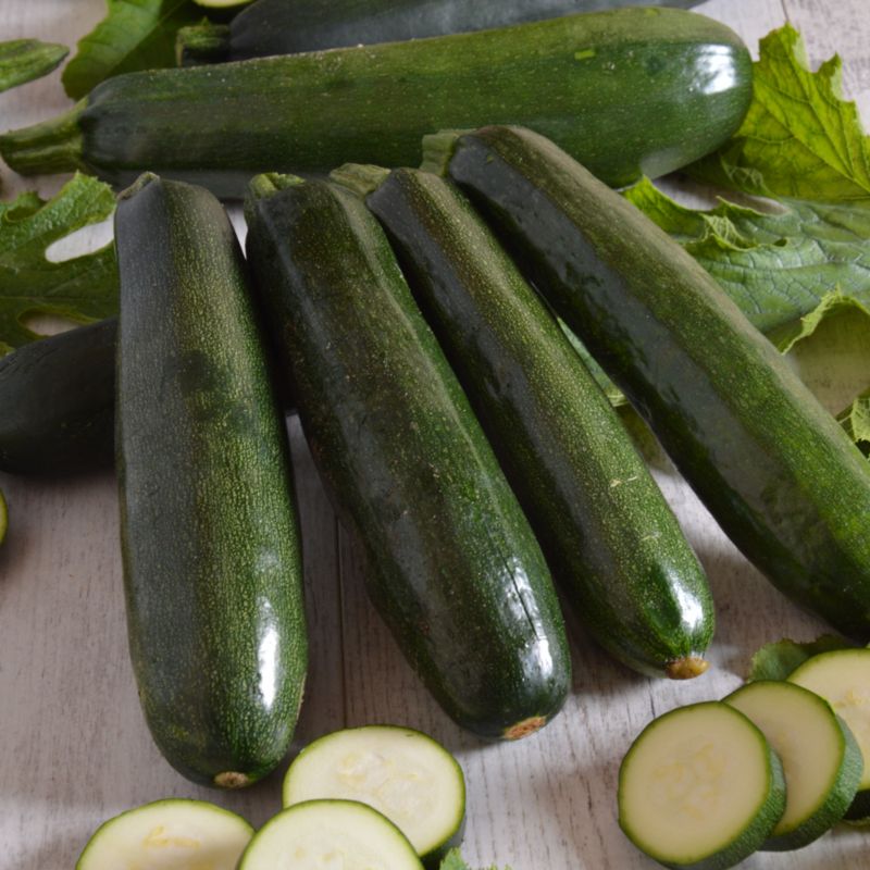 Økologiske frø til courgette Black Beauty Verve