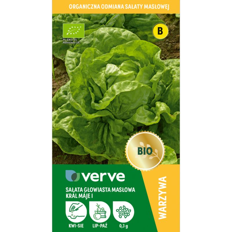 Økologiske May King Verve salatfrø