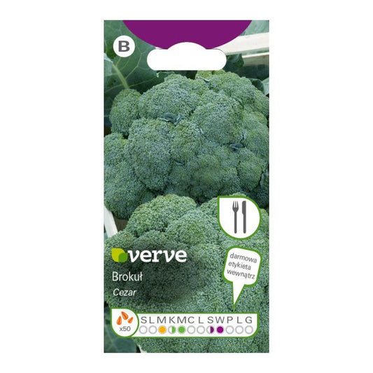 Frø til broccoli Cezar Verve
