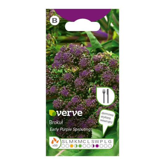 Frø af broccoli Early Purple Sprouting Verve